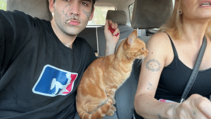 Travelers with cat spotted in car in Villa General Belgrano