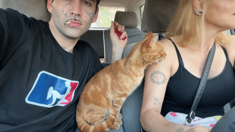 Travelers with cat spotted in car in Villa General Belgrano