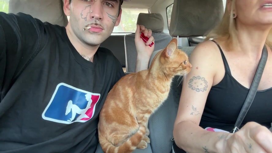 Travelers with cat spotted in car in Villa General Belgrano