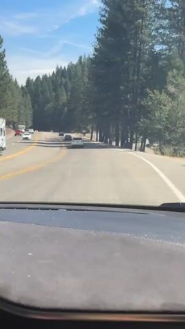 The video shows a first-person view from inside a car driving on a road through a forest. The road is paved and has two lanes, with a white line dividing the lanes and solid white lines on the outer edges. Several cars are visible on the road ahead, driving in the same direction. Tall pine trees line both sides of the road, with a clear blue sky overhead. The dashboard of the car is visible in the foreground. The scene is sunny and appears to be daytime.