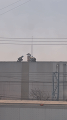 Firefighters respond to rooftop incident in Cuautitlán Izcalli