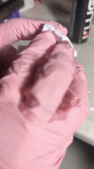 Person cleans Virgin of Guadalupe decorated lighter in Buenos Aires
