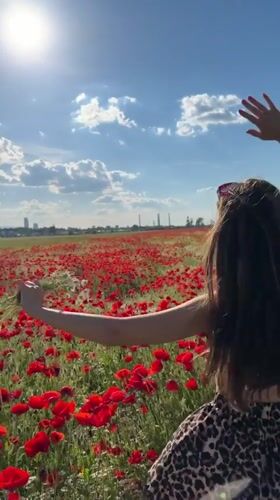 Woman poses in poppy field near Lozen, Bulgaria