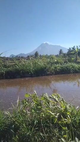 A vertical, low-angle shot looks over a body of brown water with green vegetation in the foreground and background. In the distance, a large, conical mountain with a plume of smoke emanating from its peak stands against a clear blue sky. Lush green foliage, including palm trees, surrounds the mountain and the body of water. A small house with a red roof is visible among the trees on the right side of the frame. The water's surface is rippled, and reflections of the sky and surrounding greenery are visible.