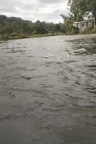 A low-angle shot captures the choppy surface of a dark river flowing under a cloudy sky. Lush green trees and a small building with a corrugated metal roof are visible on the far bank. The camera appears to be just above or at water level, looking forward, with the river dominating the foreground and the landscape receding into the background. The water's surface is disturbed by ripples and small waves, suggesting a current. The overall impression is one of a natural, somewhat overcast outdoor setting.