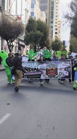 Cannabis legalization protesters march through La Paz streets