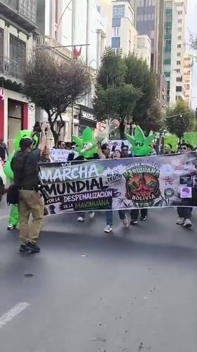 Cannabis legalization protesters march through La Paz streets