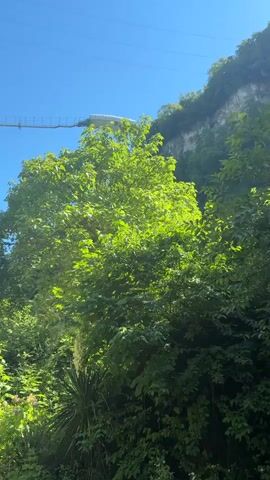 The video shows a suspension bridge stretched across a lush green natural environment. The bridge is suspended high above the ground, with lush trees and foliage covering the landscape below. The sky is a clear blue, indicating a sunny day. The bridge appears to be a pedestrian bridge, with a walkway visible along its length. The overall scene conveys a sense of adventure and natural beauty.