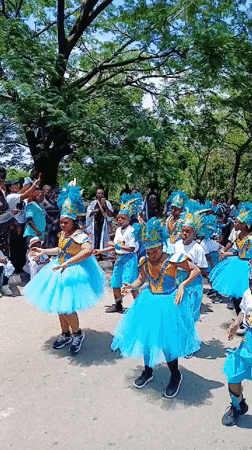Children's costume parade draws crowds in Abuja Nigeria