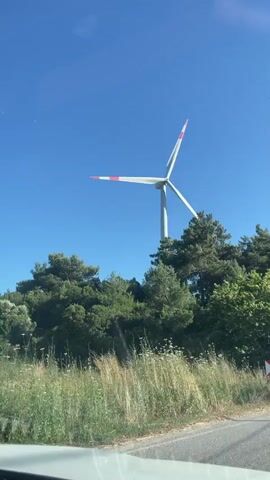 A wind turbine stands behind a line of trees under a clear blue sky. The turbine has three blades, each with red and white tips. The camera is moving, suggesting it is inside a vehicle looking out. In the foreground, there is dry grass and a road with a traffic sign indicating a sharp curve to the right. The scene appears to be a rural landscape on a sunny day.