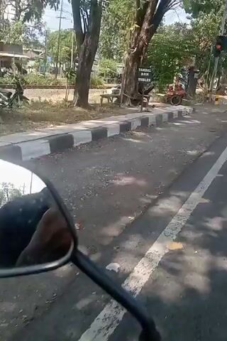 A first-person perspective video shows a person riding a motorcycle on a sunny day. The road is paved with asphalt and has a white line marking the lane. On the left side of the road, there is a sidewalk, some trees, and a sign with Indonesian writing. There is also a traffic light. Further down the road, there are more trees, buildings, and other vehicles, including cars, trucks, and motorcycles. On the right side of the road, there is a pedestrian crossing. The video captures the movement of traffic and the general environment of a roadside in what appears to be a city or town.