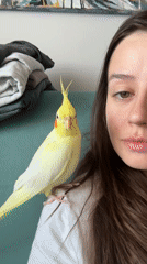 Woman plays with pet cockatiel in Krasnoyarsk home