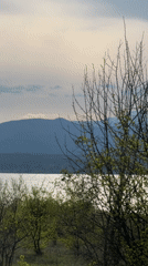Spring landscape captured showing sunlit water body with emerging vegetation