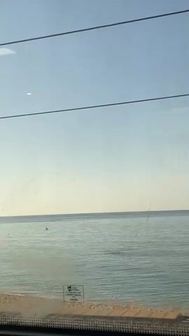Here is a description of the video:

The video shows a view of the ocean through a train window. The water is calm, with small waves, and the sky is clear and blue. A few seagulls are visible flying over the water. There are three black cables visible along the top of the shot. The RENFE logo is visible on the bottom of the window.