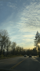 Driver records routine traffic on tree-lined Burnaby road