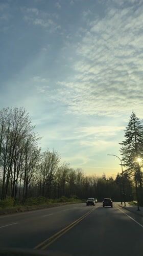 Driver records routine traffic on tree-lined Burnaby road