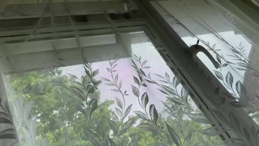 The video displays an interior view of a window, looking outwards. Sheer white curtains with a delicate leaf pattern are drawn across the window, partially obscuring the view outside. The window frame is white, and a white handle is visible on the right side of the window. Beyond the curtains and window glass, green foliage from trees can be seen, suggesting an outdoor natural or suburban environment. The light appears to be diffused, indicating a daytime setting, possibly overcast. There are no people visible in the video, and no specific activity is taking place; the camera remains mostly static with slight adjustments. No text is visible.