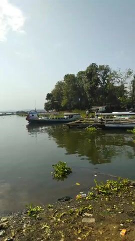 The video shows a lake with several boats docked or anchored near the shore. The water is calm and reflects the sky and surrounding trees. The sky is bright with a few clouds. The shoreline is muddy and has some vegetation growing on it, including water hyacinth. Some litter is visible on the shore. A small, wooden boat passes by, carrying a person and some cargo. The trees are green and dense, suggesting a tropical or subtropical environment.