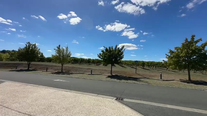 The video shows a wide shot of a vineyard under a bright blue sky with scattered clouds. In the foreground, there is a paved road with a gravel shoulder. Several trees are planted along the edge of the vineyard, which is visible on a gentle slope behind them. The vineyard rows stretch across the landscape. Further into the scene, a building complex is visible, featuring modern architecture with wooden accents and solar panels on the roof. An orange sign with French text, likely indicating opening hours, is placed near the entrance of the building. The camera pans slowly to the right, revealing more of the building and the surrounding vineyard. There are no people visible in the video.