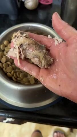 A person's hand is squeezing a piece of cooked meat over a stainless steel dog bowl filled with kibble. The meat appears to be shredded chicken or fish. The hand is wet and the meat is greasy. The bowl is on a dark countertop.