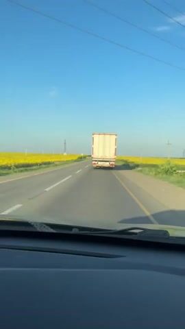 The video shows a view from inside a car traveling on a highway. The car is behind a white semi-truck with a red stripe on its trailer, which is driving in the same direction. The highway has two lanes in each direction, separated by a yellow line. To the right of the highway, there is a large field of yellow flowers, likely sunflowers. To the left of the highway, there is also some green vegetation. The sky is clear and blue with a few faint clouds. There are power lines visible in the distance. The car appears to be moving at a steady speed, as indicated by the slight blurring of the scenery.