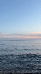 Peaceful evening coastal scene with dog and contrails observed