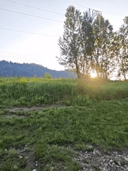 Riverside fishing at golden hour, cat napping nearby