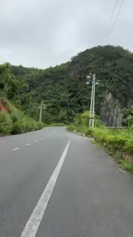 The video depicts a winding asphalt road flanked by lush green vegetation.  To the left, yellow dashed lines mark the lanes, while a solid white line delineates the right edge.  Utility poles line both sides of the road, with power lines stretching across the sky.  The road curves to the left. The background features a hill covered in dense greenery. The sky is overcast and grey. There is no visible traffic.