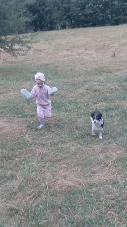 Afternoon in a Ukrainian village: wildflowers, a dog, and open fields