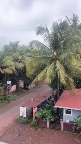 The video shows a view from above of a wet, red-soiled road lined with palm trees and some small buildings. The sky is overcast and appears to be raining lightly. A white truck is driving away from the camera down the road. Several motorbikes are parked under a canopy on the right side of the road. A small blue and red building with a red roof is on the right side of the frame. There are signs posted on the left side of the road, and more palm trees and greenery dominate the background.