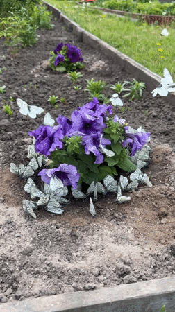Garden butterflies and backyard art scene in Malaya Kuskunka