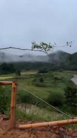 From a slightly elevated vantage point, the video captures a landscape under an overcast sky. A meandering river, its water a muddy brown, flows through a valley of green fields and trees. In the background, hills covered in dense forest are partially obscured by low-hanging clouds or mist. A section of a wooden or bamboo railing frames the bottom of the shot, suggesting a deck or viewing platform. As the camera slowly pans to the right, more trees come into view, and the focus shifts from the broad landscape to the closer details of the surrounding vegetation. An accompanying musical track is also audible.