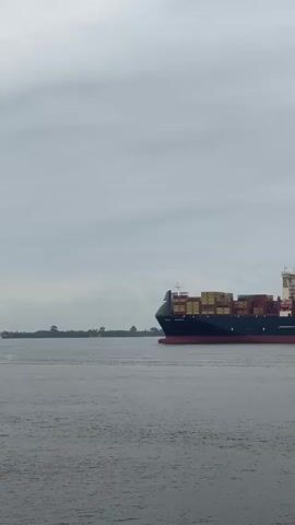 A large container ship identified by the letters MSC on its hull is moving across a body of water under a cloudy sky. A smaller tugboat is positioned beside the container ship. The water is calm and appears to be a river or a bay. The horizon shows a faint line of trees or land in the distance. The container ship is loaded with numerous containers stacked high. The overall scene suggests a commercial shipping operation.