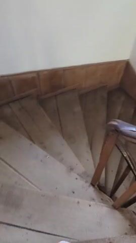 The video shows a first-person perspective of someone walking down a narrow, rustic wooden staircase. The stairs are made of wide planks and appear somewhat worn. The walls are white, and there is wooden trim along the base of the walls. Several framed nature-themed pictures are hung on the wall. A wooden handrail is visible on the right side of the staircase. The person is wearing white sneakers. The camera pans down the stairs as the person descends.