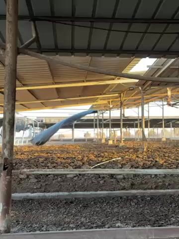 Here is a concise description of the video:

The video shows an outdoor structure with a metal roof supported by metal beams. Visible through the structure is a large expanse of dark, disturbed soil, possibly farmland or a construction site. A partially torn or hanging sheet of dark material flaps in the breeze. The lighting suggests it's either early morning or late afternoon.