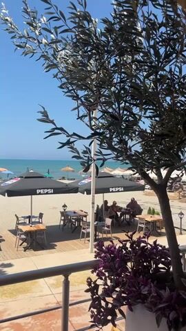 The video shows a view from a balcony overlooking a beach on a sunny day. In the foreground, there is a railing and a potted plant with purple leaves. A tree with olive leaves partially obscures the view of the beach. On the beach, there are tables and chairs set up under black Pepsi umbrellas. Several people are seated at the tables, some conversing and others appearing to be eating or drinking. Further back on the beach, there are more umbrellas, beach chairs, and people enjoying the sun and sea. The ocean is visible in the background with gentle waves under a clear blue sky. The overall atmosphere appears relaxed and leisurely.