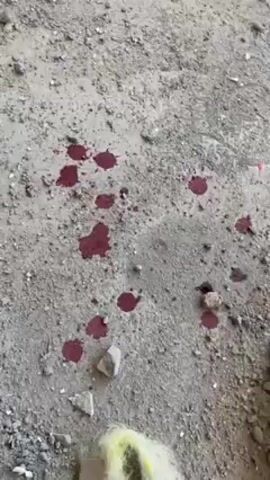 The video opens with a close-up shot of several blood-like stains on a sandy or dirt surface, along with scattered rocks and debris. A bag of yellow material is also visible. The camera then pans out to show the surrounding environment, revealing a construction or demolition site with piles of sandbags, rubble, and building materials.  In the distance, a group of people can be seen standing or milling around in front of a multi-story building with numerous windows. The sky is clear and blue. The general impression is one of damage and potential violence. The overall setting appears to be in a dry, arid region.