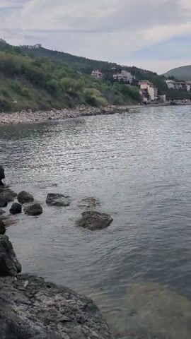The video shows a calm body of water, likely a sea or a large bay, with a rocky shoreline in the foreground. The water is a muted silver-gray color under an overcast sky, with gentle ripples across its surface. Several dark, moss-covered rocks are visible partially submerged in the water near the edge. On the opposite side of the bay, there's a green, vegetated hillside dotted with a few houses and buildings. The buildings are a mix of sizes and colors, suggesting a small town or residential area. The overall impression is one of a quiet, coastal scene, with the focus on the natural landscape rather than human activity. There is no visible human activity in the frame.