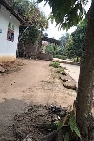 The video shows a close-up view of a tree trunk and its exposed roots. The ground around the tree is covered in dirt and debris, including fallen leaves and what appears to be a cigarette butt. A small, colorful object, possibly a candy wrapper, is visible near the base of the tree. In the background, a paved area is visible, along with some vegetation and structures, suggesting an outdoor setting like a park or yard. The video appears to be shot from a low angle, looking upwards towards the tree. The lighting is natural, and the overall scene is somewhat rustic.