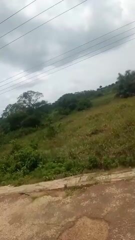 The video shows a view from a vehicle moving along a road. The road is paved but cracked in the foreground. To the right of the road, there is a grassy hillside covered with bushes and trees. Several power lines stretch across the sky above the hillside. In the middle ground, a single utility pole with a light fixture is visible. The sky is overcast with gray clouds. The camera appears to be looking slightly upward and to the right, capturing the movement of the vehicle.
