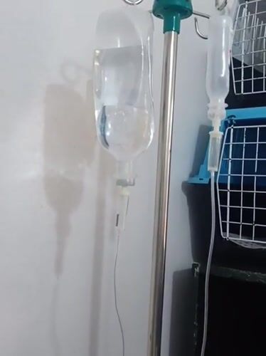Cat rests near medical equipment in Nairobi healthcare setting