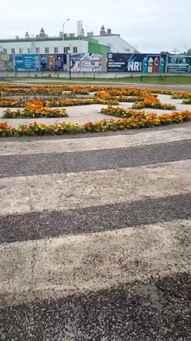 The video shows a circular flowerbed with orange and yellow flowers. The flowerbed is surrounded by gravel paths. In the background, there is a building with several billboards. Two people are walking in the background. The sky is cloudy.