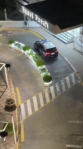 From a high angle, the video shows a dark-colored police car, marked with “POLICIA NACIONAL” and the license plate “CNP2210ZA”, parked next to a curved planter filled with greenery and flowers. A person is exiting the driver's side of the car. The car's rear lights are illuminated, and the blue lights on its roof are also on. The environment around the car includes concrete surfaces marked with yellow lines, and a building is visible in the background. The lighting suggests that it is nighttime.