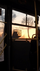 Bus sunset view and indoor poodle scene recorded in Krasnoyarsk