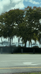 Miami waterfront scene with boats, palm trees, university bus