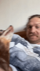 Man with dog rests on bed in Saint Petersburg
