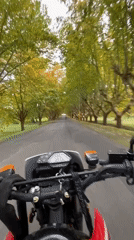 Motorcyclist rides tree-lined road in Campo de Mayo
