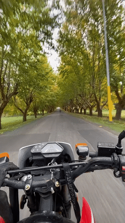 Motorcyclist rides tree-lined road in Campo de Mayo