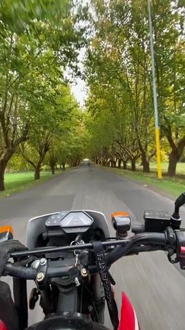 A first-person perspective video shows someone riding a red and white motorcycle down a tree-lined road. The trees are mostly green with some yellowing leaves, creating a tunnel effect. The road appears to be paved and gray. Another motorcycle is visible in the distance. The camera is mounted on the motorcycle, providing a view of the handlebars, instrument panel, and the road ahead. The sky is overcast. The motorcycle rider is wearing black gloves.