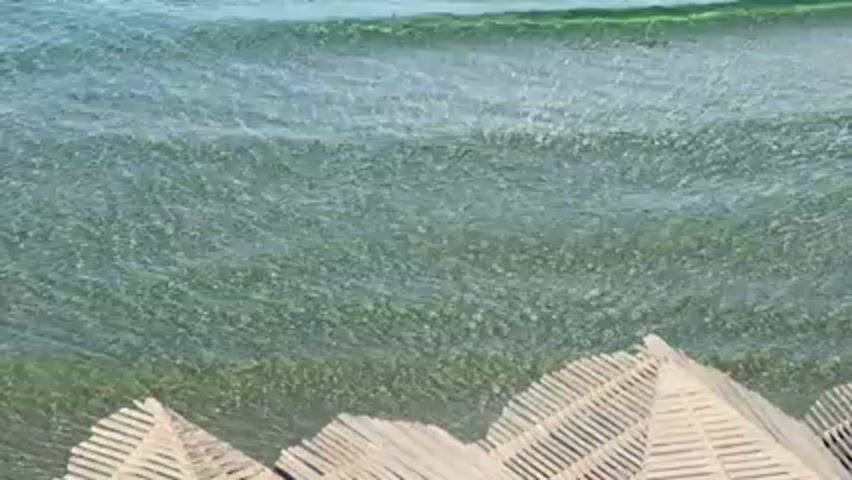 The video shows a body of water, likely the ocean or a large lake, with small waves moving towards the shore. The water is a clear, greenish-blue color. In the foreground are several woven or thatched structures, possibly umbrellas or shelters, arranged in a row. The camera angle appears to be from slightly above, looking down towards the water and the structures. The overall environment suggests a beach or coastal area on a sunny day.